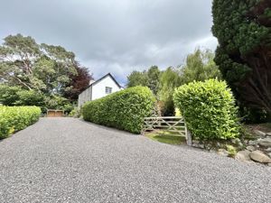 Photo 41- click for photo gallery